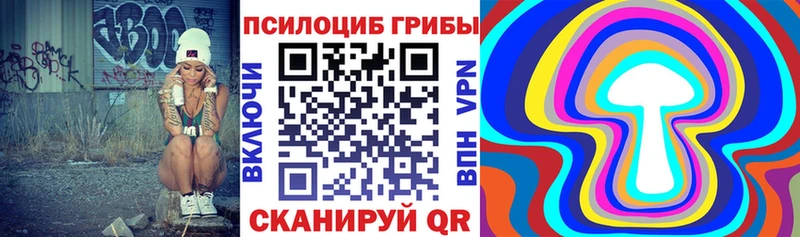 мориарти клад  omg ТОР  Павловский Посад  где продают наркотики  Псилоцибиновые грибы Psilocybine cubensis 